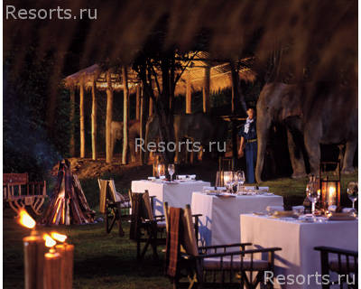 Four Seasons Tented Camp Golden Triangle 12